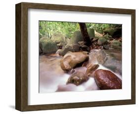 Rainforest Stream, Bako National Park, Borneo, Malaysia-Art Wolfe-Framed Photographic Print