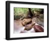 Rainforest Stream, Bako National Park, Borneo, Malaysia-Art Wolfe-Framed Photographic Print