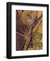 Rainforest Suite II-Mimi Cora-Framed Art Print