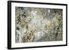 Rainforest Tapestry-Liz Jardine-Framed Art Print