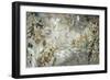 Rainforest Tapestry-Liz Jardine-Framed Premium Giclee Print