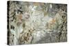 Rainforest Tapestry-Liz Jardine-Stretched Canvas