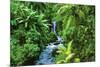 Rainforest (Waterfall) Art Poster Print-null-Mounted Poster