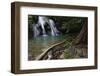 Rainforest waterfall, Batenta Island, Raja Ampat, Western Papua, Indonesian New Guinea-Staffan Widstrand-Framed Photographic Print