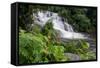 Rainforest Waterfall, Serra Da Bocaina NP, Parati, Brazil-Cindy Miller Hopkins-Framed Stretched Canvas