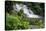 Rainforest Waterfall, Serra Da Bocaina NP, Parati, Brazil-Cindy Miller Hopkins-Stretched Canvas