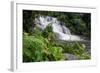 Rainforest Waterfall, Serra Da Bocaina NP, Parati, Brazil-Cindy Miller Hopkins-Framed Photographic Print