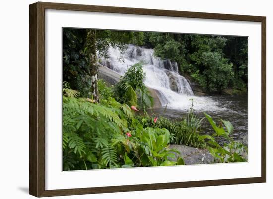 Rainforest Waterfall, Serra Da Bocaina NP, Parati, Brazil-Cindy Miller Hopkins-Framed Photographic Print