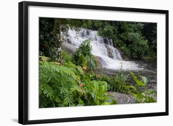 Rainforest Waterfall, Serra Da Bocaina NP, Parati, Brazil-Cindy Miller Hopkins-Framed Photographic Print