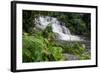 Rainforest Waterfall, Serra Da Bocaina NP, Parati, Brazil-Cindy Miller Hopkins-Framed Photographic Print