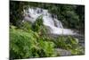 Rainforest Waterfall, Serra Da Bocaina NP, Parati, Brazil-Cindy Miller Hopkins-Mounted Photographic Print