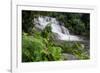 Rainforest Waterfall, Serra Da Bocaina NP, Parati, Brazil-Cindy Miller Hopkins-Framed Photographic Print