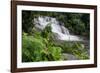 Rainforest Waterfall, Serra Da Bocaina NP, Parati, Brazil-Cindy Miller Hopkins-Framed Photographic Print