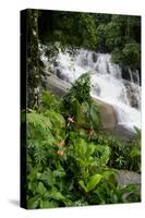 Rainforest Waterfall, Serra Da Bocaina NP, Parati, Brazil-Cindy Miller Hopkins-Stretched Canvas