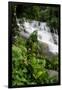 Rainforest Waterfall, Serra Da Bocaina NP, Parati, Brazil-Cindy Miller Hopkins-Framed Photographic Print