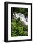 Rainforest Waterfall, Serra Da Bocaina NP, Parati, Brazil-Cindy Miller Hopkins-Framed Photographic Print