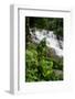 Rainforest Waterfall, Serra Da Bocaina NP, Parati, Brazil-Cindy Miller Hopkins-Framed Photographic Print