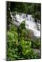 Rainforest Waterfall, Serra Da Bocaina NP, Parati, Brazil-Cindy Miller Hopkins-Mounted Photographic Print