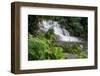 Rainforest Waterfall, Serra Da Bocaina NP, Parati, Brazil-Cindy Miller Hopkins-Framed Photographic Print