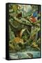 Rainforest-Tim Knepp-Framed Stretched Canvas