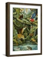 Rainforest-Tim Knepp-Framed Giclee Print
