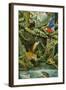 Rainforest-Tim Knepp-Framed Giclee Print