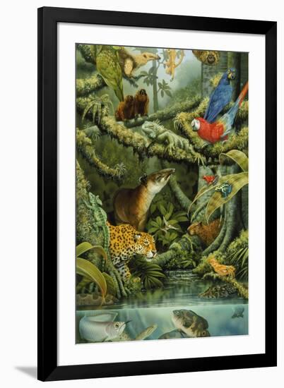 Rainforest-Tim Knepp-Framed Giclee Print