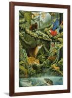 Rainforest-Tim Knepp-Framed Giclee Print