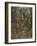 Rainforest-Bill Bell-Framed Giclee Print