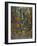 Rainforest-Bill Bell-Framed Giclee Print