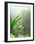 Rainforest-Audrey-Framed Giclee Print