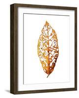 Rainforst Leaf 01-Shot by Clint-Framed Giclee Print