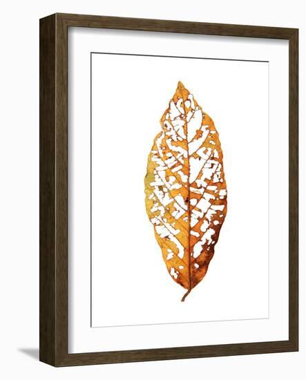 Rainforst Leaf 01-Shot by Clint-Framed Giclee Print