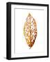 Rainforst Leaf 01-Shot by Clint-Framed Giclee Print