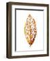 Rainforst Leaf 01-Shot by Clint-Framed Giclee Print