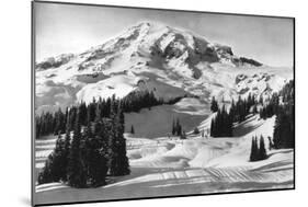 Rainier National Park - Early Spring in Paradise Valley Photograph-Lantern Press-Mounted Art Print