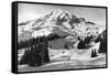 Rainier National Park - Early Spring in Paradise Valley Photograph-Lantern Press-Framed Stretched Canvas