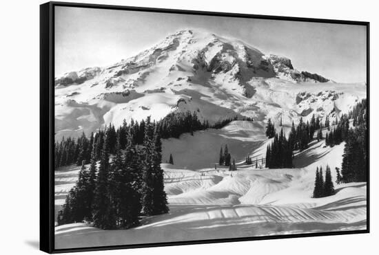 Rainier National Park - Early Spring in Paradise Valley Photograph-Lantern Press-Framed Stretched Canvas