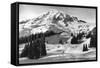 Rainier National Park - Early Spring in Paradise Valley Photograph-Lantern Press-Framed Stretched Canvas