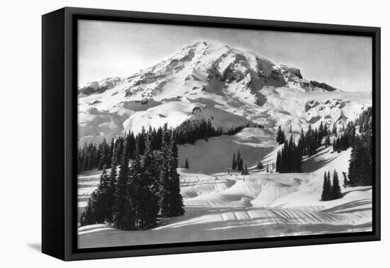 Rainier National Park - Early Spring in Paradise Valley Photograph-Lantern Press-Framed Stretched Canvas