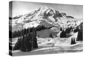 Rainier National Park - Early Spring in Paradise Valley Photograph-Lantern Press-Stretched Canvas