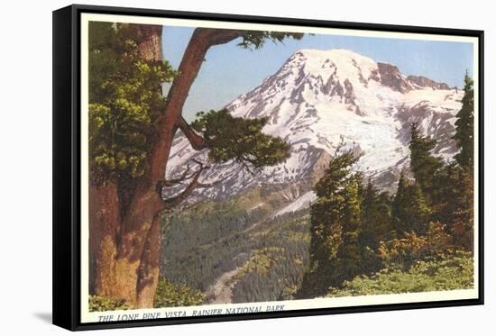 Rainier National Park, Washington-null-Framed Stretched Canvas