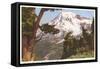 Rainier National Park, Washington-null-Framed Stretched Canvas