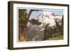 Rainier National Park, Washington-null-Framed Art Print