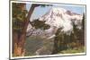 Rainier National Park, Washington-null-Mounted Art Print