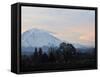 Rainier Sunrise-Ted S. Warren-Framed Stretched Canvas