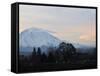 Rainier Sunrise-Ted S. Warren-Framed Stretched Canvas