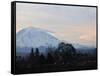 Rainier Sunrise-Ted S. Warren-Framed Stretched Canvas