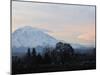 Rainier Sunrise-Ted S. Warren-Mounted Premium Photographic Print