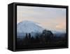 Rainier Sunrise-Ted S. Warren-Framed Stretched Canvas